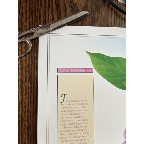 Vintage 1991 Rosy Periwinkle Pharmacy History Pharmacist Poster Afrin Promo - Picture 3 of 12